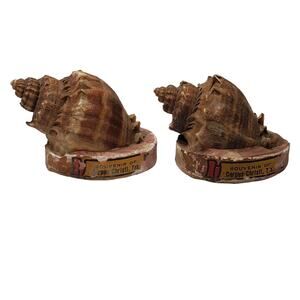 Seashell Salt and Pepper Shakers Vintage Souvenir of Corpus Christi TX